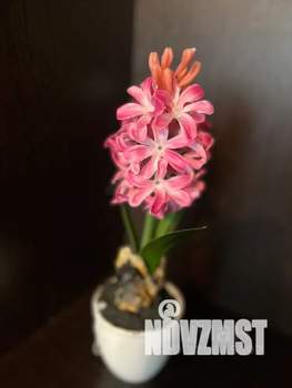 1-к квартира, посуточно, 30м2, 3/5 этаж