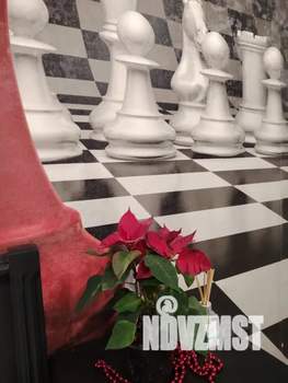 2-к квартира, посуточно, 50м2, 2/3 этаж