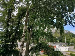 3-к квартира, вторичка, 52м2, 2/9 этаж