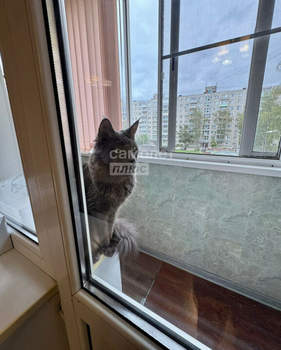 3-к квартира, вторичка, 57м2, 4/5 этаж