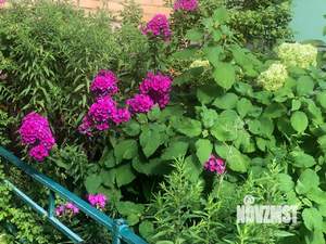 3-к квартира, вторичка, 67м2, 6/9 этаж