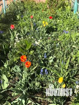 3-к квартира, вторичка, 67м2, 6/9 этаж