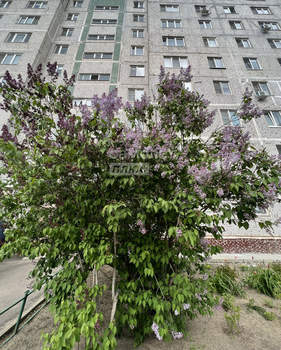 1-к квартира, вторичка, 37м2, 7/9 этаж