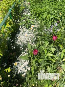 3-к квартира, вторичка, 67м2, 6/9 этаж